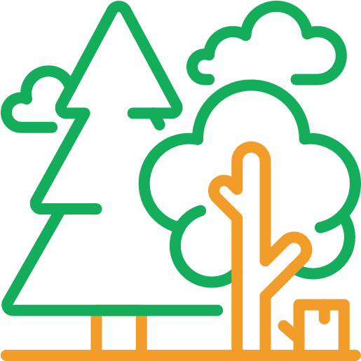 Tree Pruning